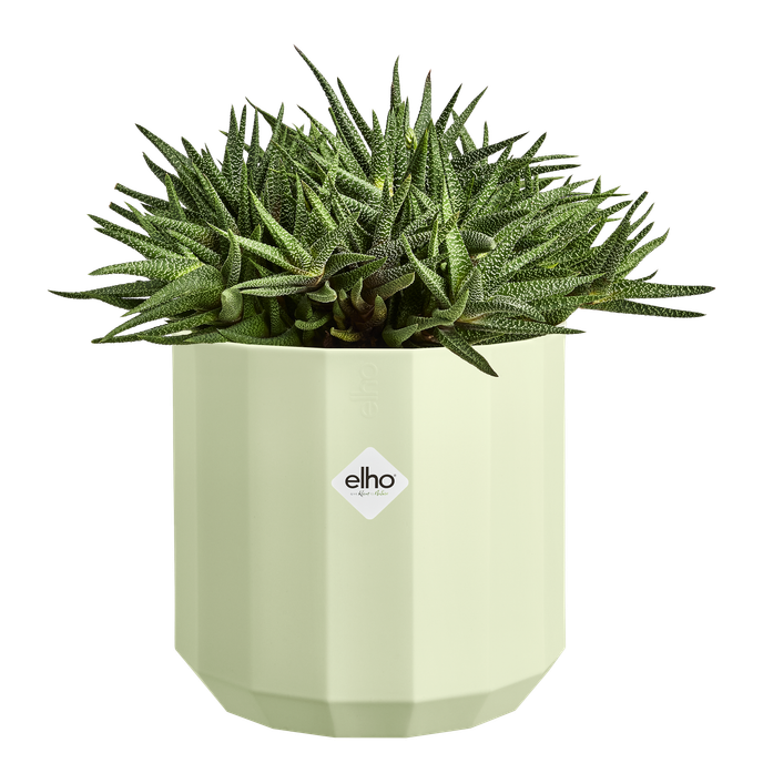 facet round 30cm tea green